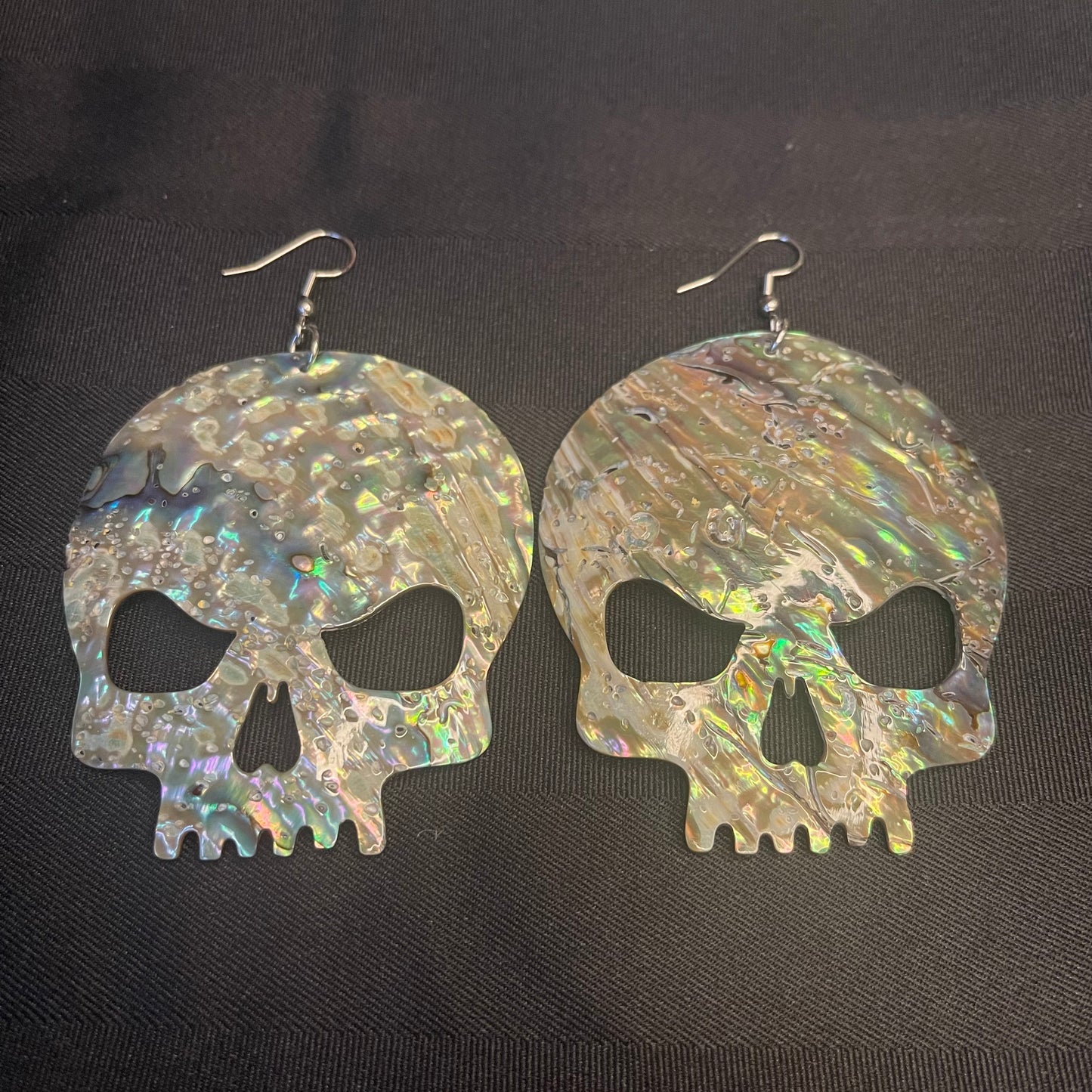 Large Abalone Skulls