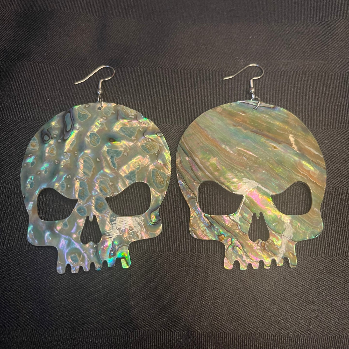 Large Abalone Skulls